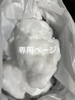 専用ページ