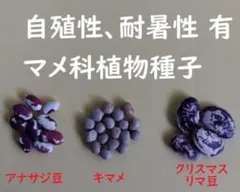 きこりん様 リクエスト 3点 まとめ商品