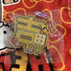 ボートレース　吉田裕平