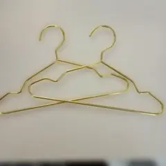 ペット用ゴールド衣類ハンガー2本セット