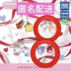 サンリオキャラクターズ なかよしドロップチャーム （キキララ・マイメロクロミ）