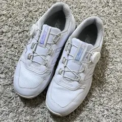 Item thumbnail for item 22d2da28-a926-497a-aa69-06e915e3f576