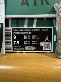 WMNS AIR JORDAN 2 RETRO LOW SE