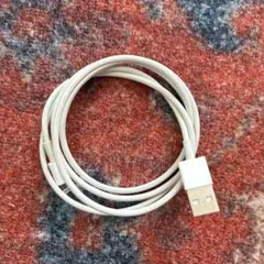 接続ケーブル（Lightning 〜 USB）