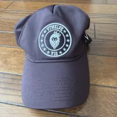 Item thumbnail for item 0c5a4e8d-f0cf-49c3-a2bb-8334311c2439