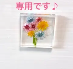 50点まとめ売り