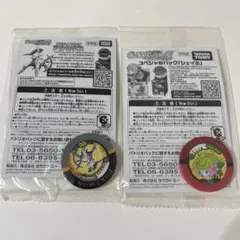 【未開封】　ギラティナと氷空の花束シェイミ　アルセウス　2個セット