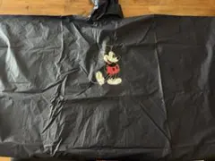 Item thumbnail for item a6218588-1f81-459b-a077-015240d8cfe6