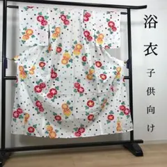 Item thumbnail for item 340149e2-1f96-4b71-92ba-efe68ab8dee0