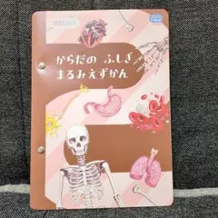 【未使用】からだのふしぎまるみえずかん こどもちゃれんじ じゃんぷ