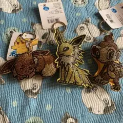 ポケモン　スパンコールキーフォルダー　3体セット