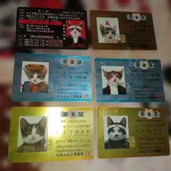 なめ猫 免許証 学生証 6枚セット