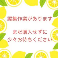 しあ様 リクエスト 10点 まとめ商品