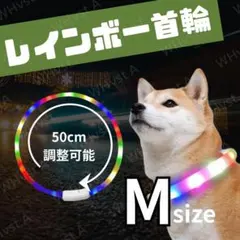 Item thumbnail for item d9bf8515-69bb-48d7-af49-0ba4f1d12dca