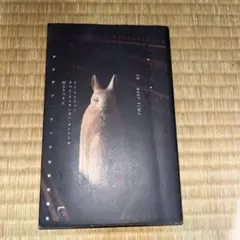 イン・クィア・タイム