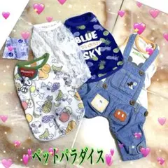 ❣️ペットパラダイス❣️クール　スヌーピー 、ミッキー つなぎ3S/他…合計4点のサムネイル