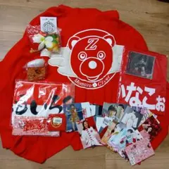 グッズ30点　ポンチョ　ももいろクローバーZ 　まとめ売り　百田夏菜子　ももクロ