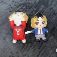 ハイキュー 孤爪研磨 ぬいぐるみ