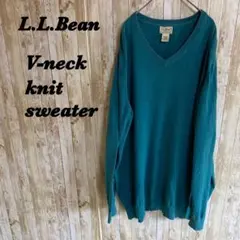 【757】L.L.Bean カシミヤ 混Vネック　ニット セーター XL
