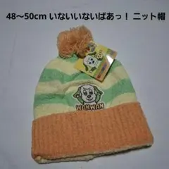 48～50cm いないいないばあっ！ ニット帽