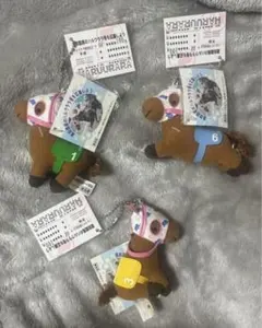 ハルウララ キーホルダー5個セット ＊高知競馬サポートKRA ＊ 非売品
