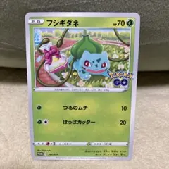 フシギダネ ポケモンGO プロモカード ギフトキャンペーン