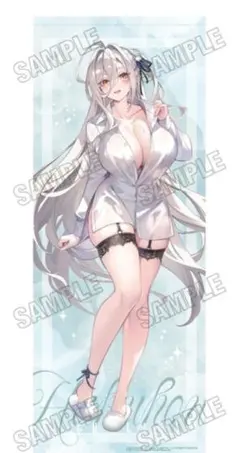 ネコぱら バニラ フィギュア特典 B2タペストリー 希少 ねこぱら