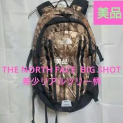 THE NORTH FACE BIG SHOT バックパック リアルツリー柄
