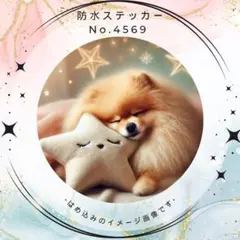 【送料無料❣️】ポメラニアン防水ステッカー おほしさまクッション