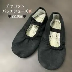 Item thumbnail for item 56fcd543-8ee2-4aa3-9023-c25fcddee568