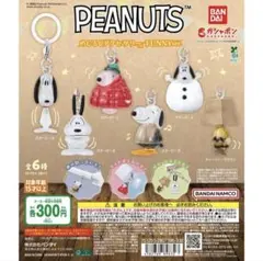 PEANUTS めじるしアクセサリーFUNNYver. 3体セット