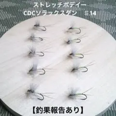 Item thumbnail for item 6348eea5-9a46-4be4-bd5a-539dd6ccef83