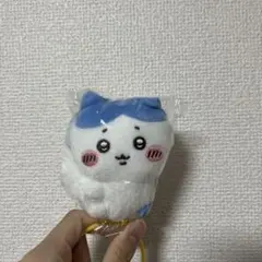 ちいかわ ハチワレ シュシュ