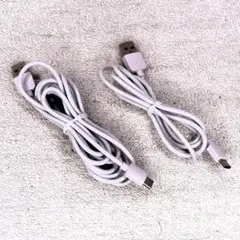 USB-C 充電ケーブル ホワイト 2本セット