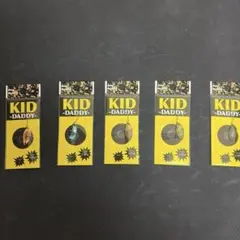 Item thumbnail for item a0afcc8e-092d-4e88-bfb7-9a7ca068e420