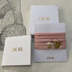 DIOR ディオール　ヘアリボン