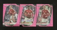 Panini Soccer テディ・シェリンガム マンチェスター・ユナイテッド