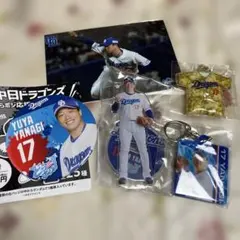 中日ドラゴンズ　柳裕也　グッズ5点セット