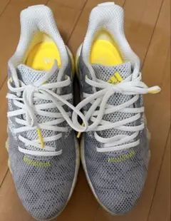 アディダス コードカオス22 24.5cm ゴルフシューズ レディース 箱あり