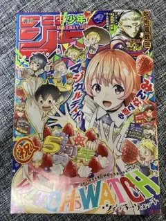 週刊少年ジャンプ バックナンバー 漫画雑誌 2026年No.13 送料込 マンガ