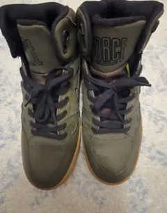 Item thumbnail for item c31b1946-7060-4b5d-b148-52e7872a0c09