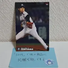【同梱でお値引き】 ヤクルト 石山泰稚選手 2014年 プロ野球チップス