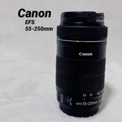 2026年最新】ef-s55-250mm f4-5.6 is stmの人気アイテム - メルカリ