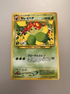 キレイハナ_インフォメーションパックおまけカードその2 プロモ ☆旧裏