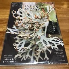 Item thumbnail for item 11e90735-d546-435f-a53a-3cc92ba2db77