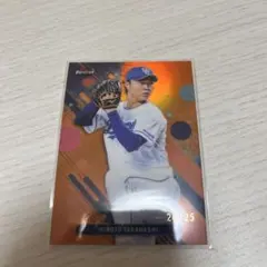 Item thumbnail for item 22285a64-69ce-4714-bf99-26eb9079426a