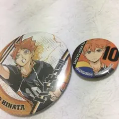 日向くん缶バッジセット