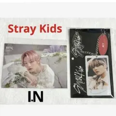 Stray Kids I.N アイエンバッグチャーム MANIACフォトカード