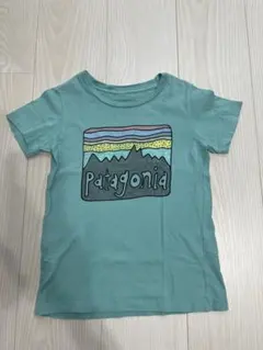 パタゴニア　Fitz Roy Tシャツのサムネイル