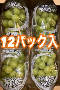 熊本県産 シャインマスカット＆巨峰 食べ比べセット 約2.2kg 4房